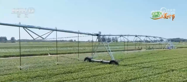 网上配资炒股平台 从“靠天收”到“靠智管” 智慧田管新模式护航田野好“丰”光